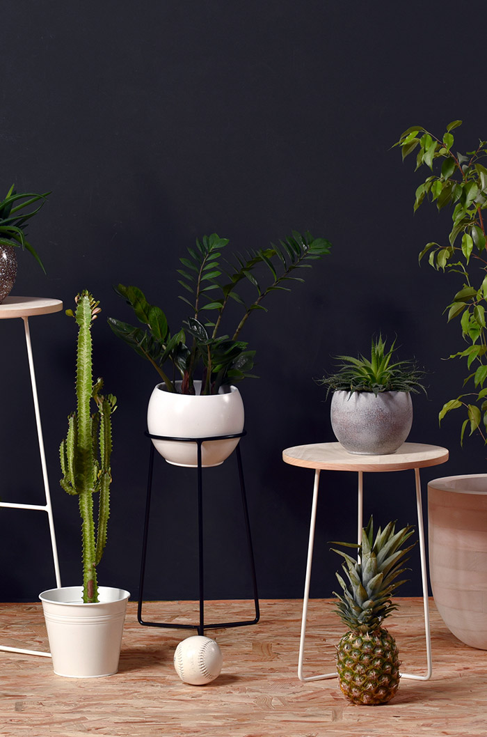 Blanko – A spotlight for nature