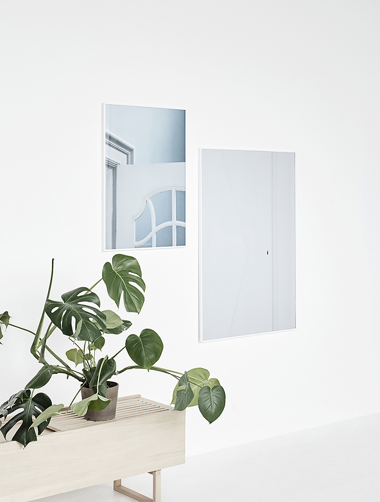 Green essentials: why houseplants are the best Green essentials: why houseplants are the best