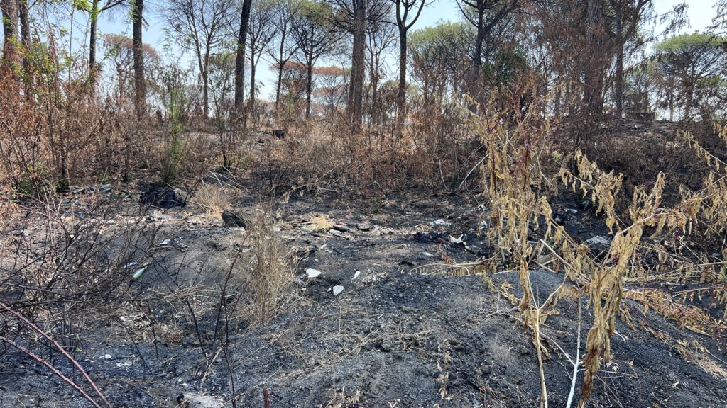 incendio Vesuvio 2025